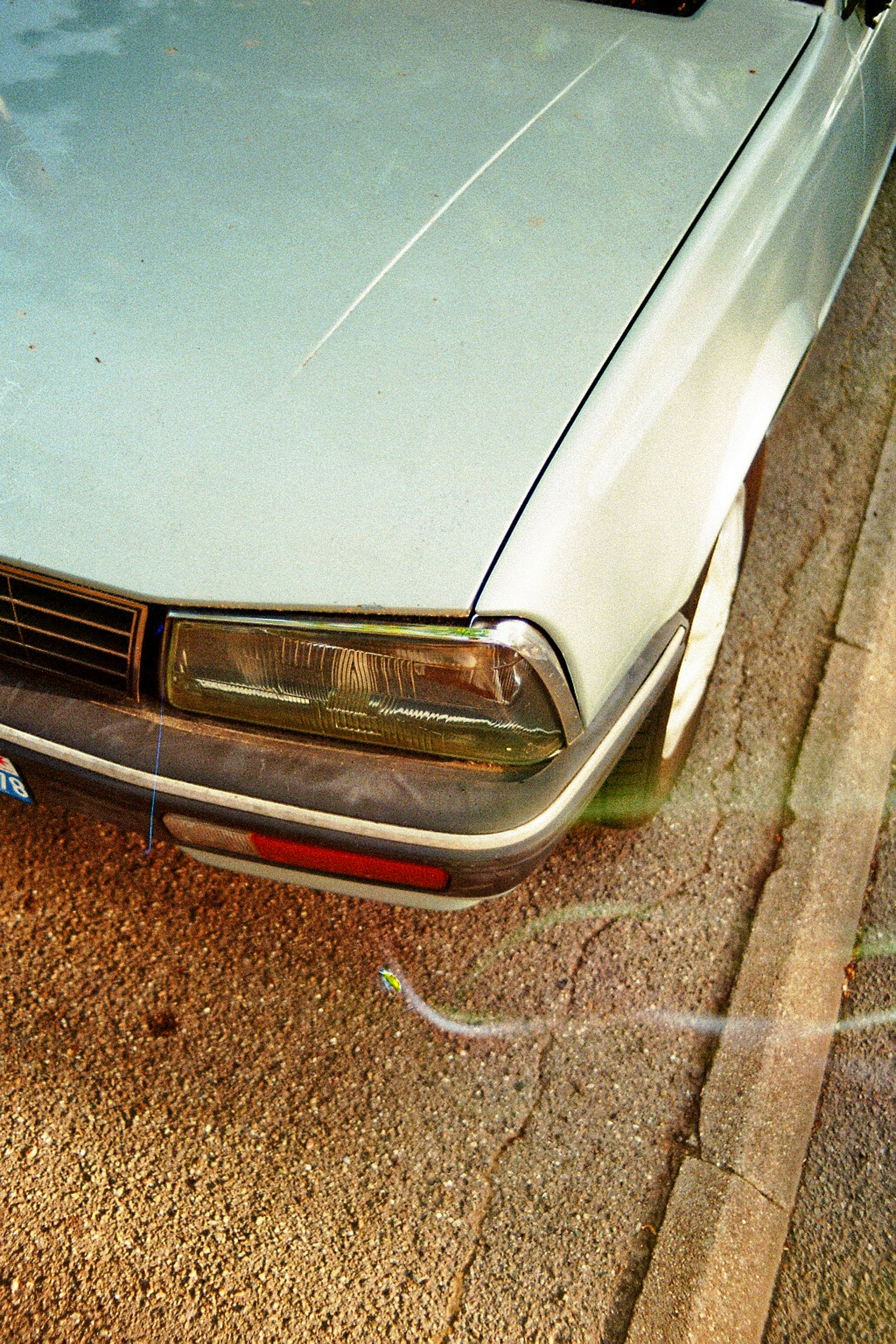 white car with license plate